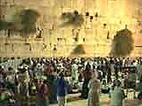 דוד דאור – שמור על העולם