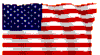 usa fleg