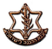The Backbone of the IDF: Reserve Units Train at Tze’elim