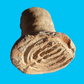 Israeli archaeologists find 1,500-year-old kosher ‘bread...