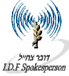 Palestinian Man Treated by IDF Paramedics