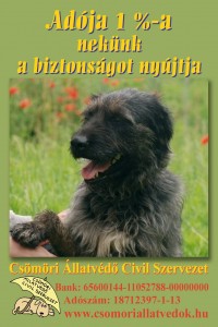 Adója 1 %-a nekünk a biztonságot nyújtja