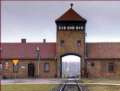 Schulz: Auschwitz „a civilizáció legsúlyosabb összeomlása volt az emberi történelem soránˮ