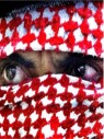 Tizenhat-tagú palesztin terrorsejt őrizetben