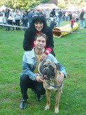 Csilli-Villi kutyaszépségverseny Hókuszpók Bibircsókájával