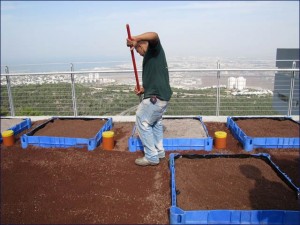 Israel’s first Green Roofs Ecology Center
