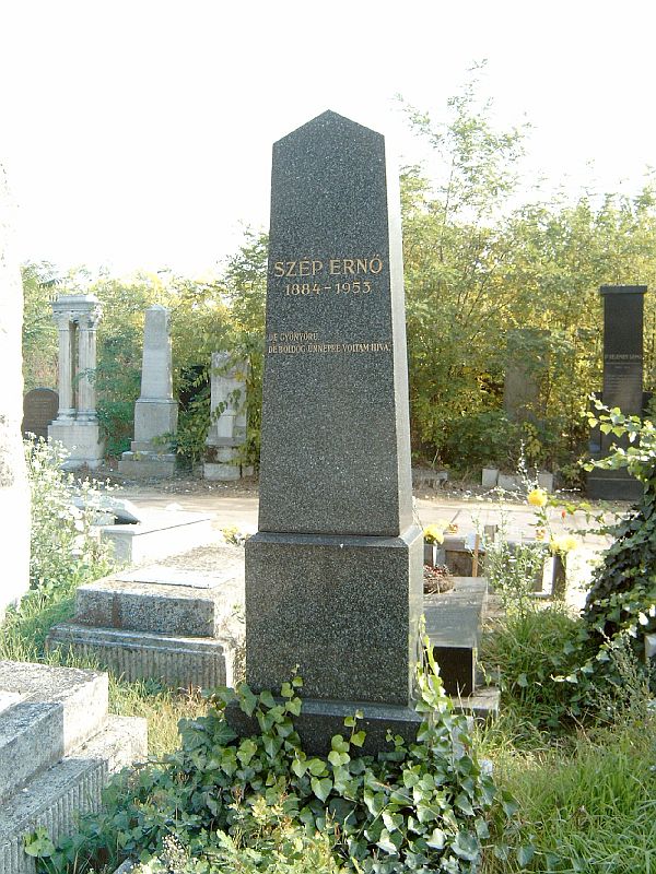 SAMSUNG TECHWIN DIGIMAX-410