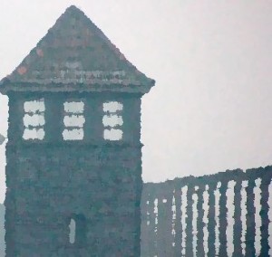 Statement by Ambassador Samantha Power