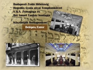 Január 11-15:BZSH Hegedűs Gyula utcai körzete