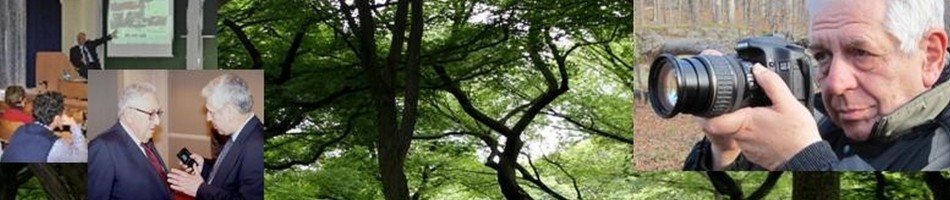 cropped-bt_facebook_fej