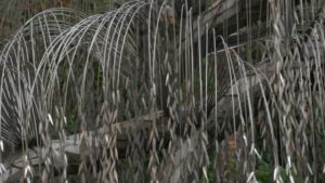 Emlékezés mártírjainkra az élet ezüstfájánál