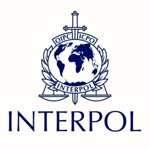 2016. november 10-én az Interpol 85. közgyűlésén