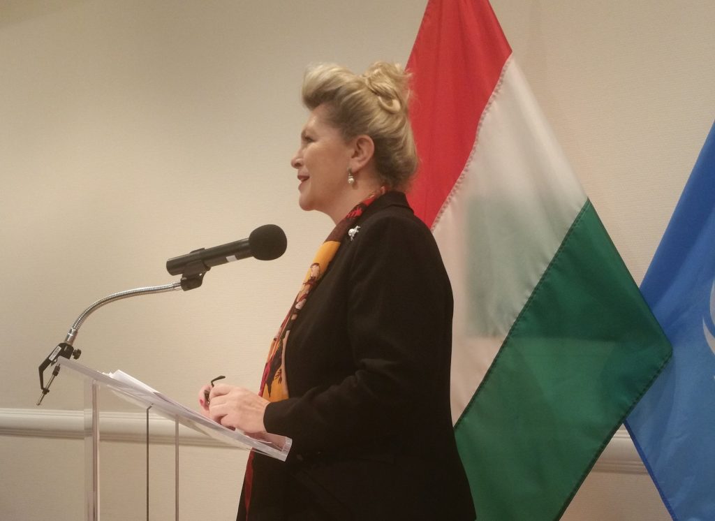 Bogyai Katalin Nagykövet, az állandó magyar ENSZ képviselet vezetője, öt beszélgetőpartnert hívott meg, hogy mondják el véleményüket 1956 nemzetközi megítéléséről, illetve arról a demokratizálódási folyamatról, amely a huszadik században kezdődött el számos közép - kelet - európai országban, így Magyarországon is.