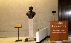 Semmelweis Albany-ban
